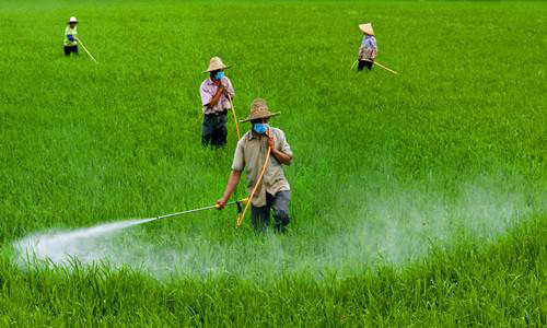 殺蟲劑在農田中的應用