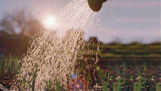 農業用消泡劑應用場景