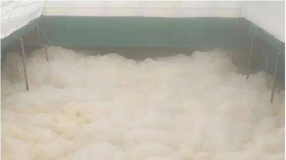 案例照片：污水啟動泡沫